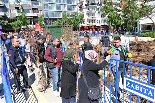 15 bin adet meyve fidanı dağıtıldı