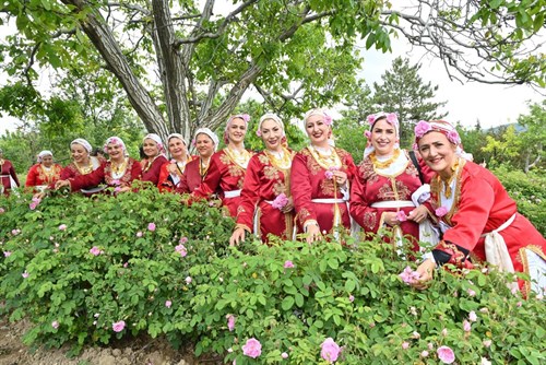 Gülün yolculuğunu bizzat yerinde deneyimlediler