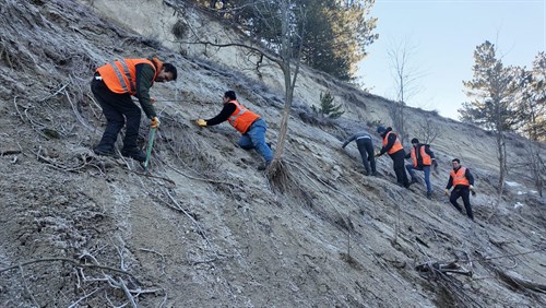 Binlerce fidan toprakla buluşturuluyor